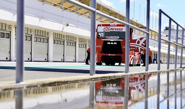 这种决策不 这种决策不