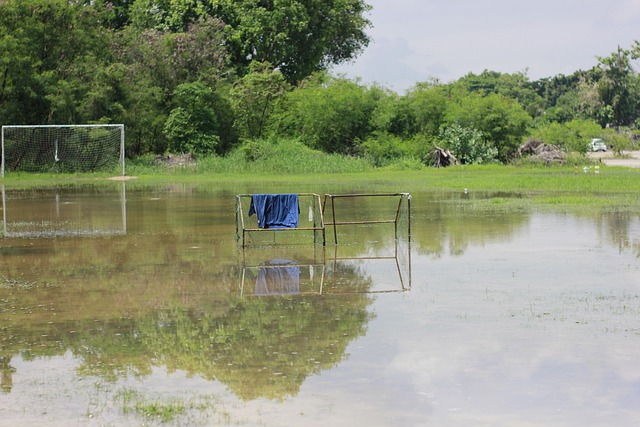 绝大多数球 绝大多数球